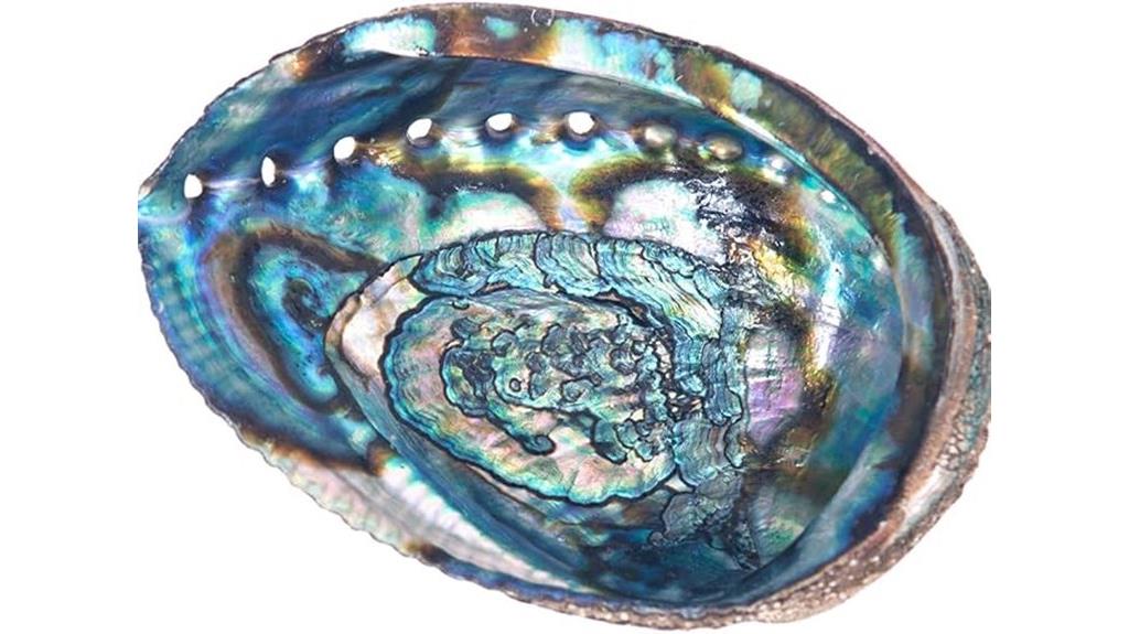 abalone seashell incense holder