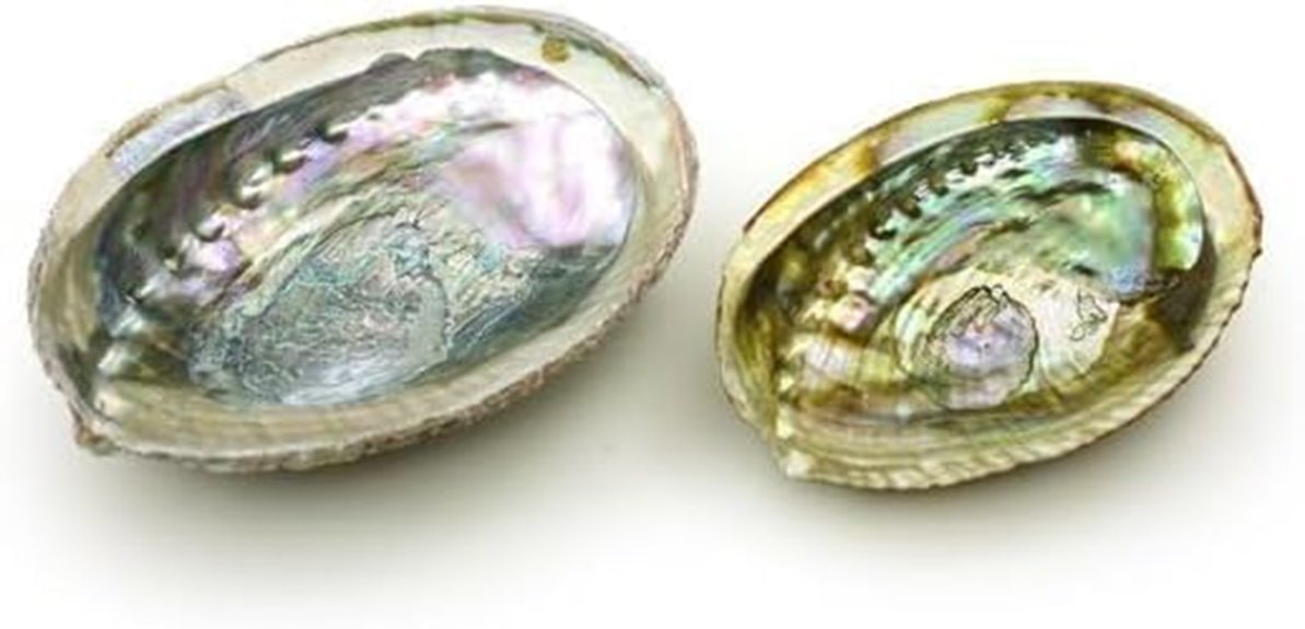 colorful abalone incense bowl