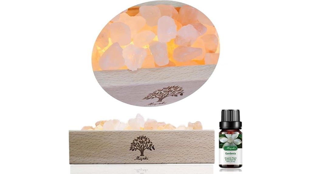salt lamp diffuser set