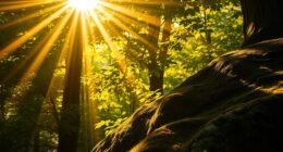 balancing darkness and brightness