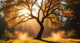 embracing self love through separation