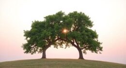 establishing boundaries in twin flames