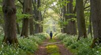balanced openness without superstition