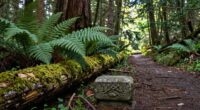 balanced spiritual exploration techniques