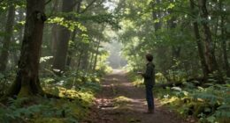 distinguishing intuition from fantasies
