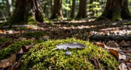 heightened synchronicities during emotions
