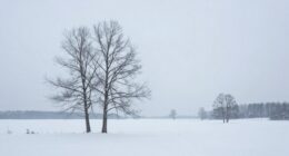 silent reflection offers insight