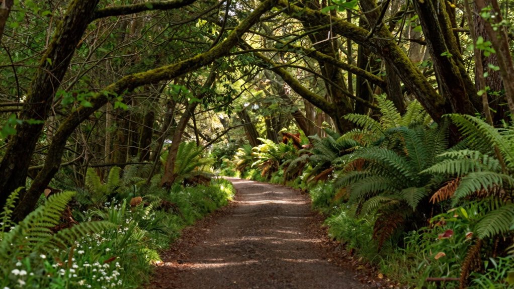 trust your intuitive guidance