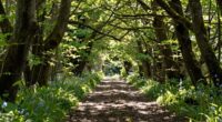 trusting the unseen path