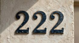 understanding 222 s significance
