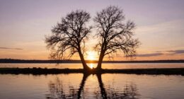 unique closure in twin flames